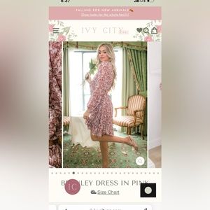 New Ivy city dress with tags size:M